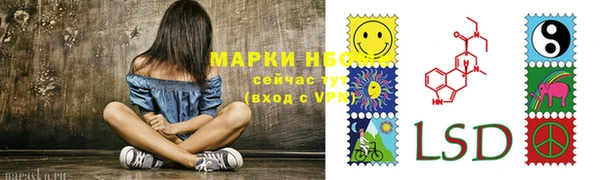 молекула духа Надым