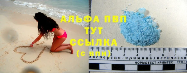 молекула духа Надым