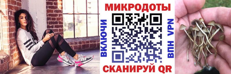 купить  цена  Зеленокумск  это состав  Псилоцибиновые грибы мухоморы 