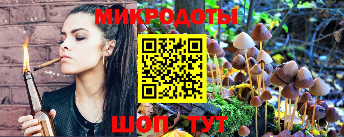 Псилоцибиновые грибы мицелий  Зеленокумск  Псилоцибиновые грибы ЛСД 