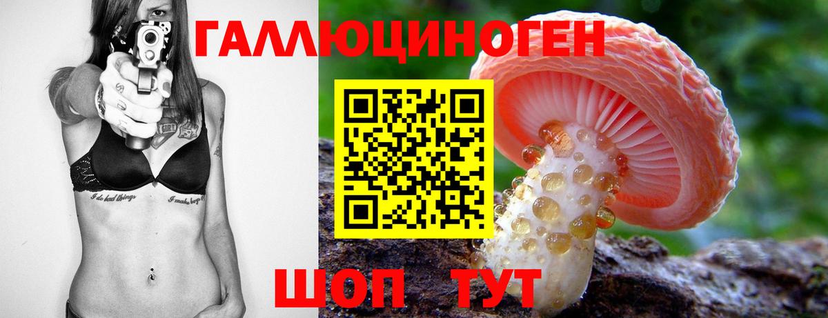 Зеленокумск  Псилоцибиновые грибы GOLDEN TEACHER  Вход с VPN 